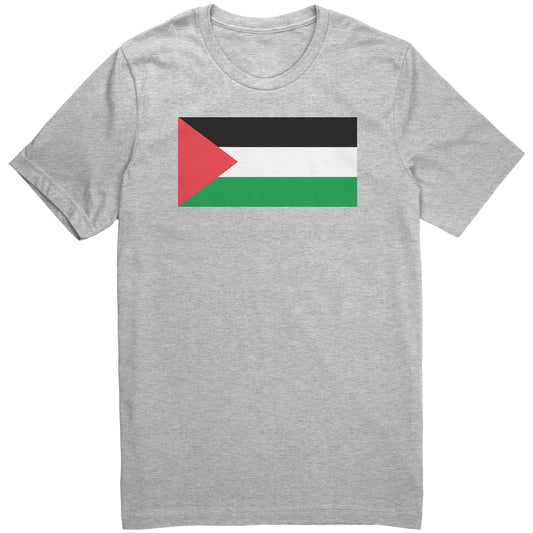 The flag of Palestine